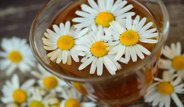 Compresas de manzanilla: solución natural para ojos cansados e irritados